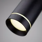 Подвесной светильник Elektrostandard DLR023 a040264 Цвет арматуры черный Цвет плафонов черный от ImperiumLoft