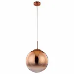 Подвесной светильник Arte Lamp Jupiter A7963SP-1RB 