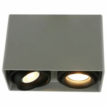 Накладной светильник Arte Lamp 5655 A5655PL-2WH Цвет арматуры белый Цвет плафонов черно-белый
