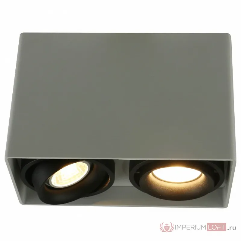 Накладной светильник Arte Lamp 5655 A5655PL-2WH Цвет арматуры белый Цвет плафонов черно-белый от ImperiumLoft
