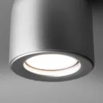 Накладной светильник Elektrostandard DLN116 a050674 Цвет плафонов серебро Цвет арматуры серебро