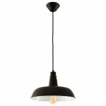 Подвесной светильник Citilux Эдисон CL450205 Цвет арматуры черный Цвет плафонов черный от ImperiumLoft