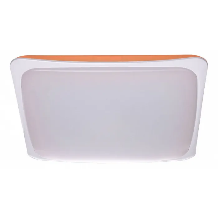 Накладной светильник MW-Light Ривз 674014601 от ImperiumLoft