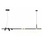 Подвесной светильник Odeon Light Corda 4391/40L