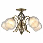 Люстра на штанге Arte Lamp Dolcemente A1607PL-5AB 