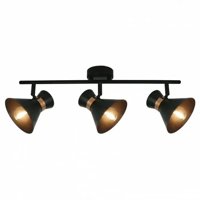 Спот Arte Lamp Baltimore A1406PL-3BK Цвет арматуры золото Цвет плафонов черный от ImperiumLoft