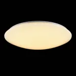 Накладной светильник Freya Gloria FR6999-CL-45-W от ImperiumLoft