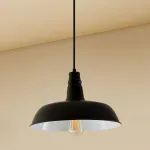Подвесной светильник Citilux Эдисон CL450205 Цвет арматуры черный Цвет плафонов черный от ImperiumLoft
