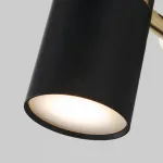 Бра Eurosvet Viero 20096/1 черный/золото Цвет арматуры черный Цвет плафонов золото