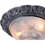 Потолочный светильник Arte Lamp Piatti A8001PL-2SB 