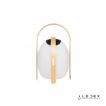 Колонка звуковая iLedex Giggle OVS1100-CH WH от ImperiumLoft