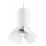 Подвесной светильник Lightstar Rullo RP436436 