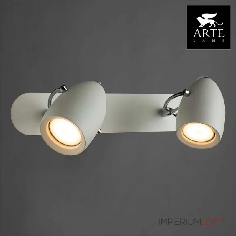 Спот Arte Lamp Atlantis A4004AP-2WH Цвет арматуры белый Цвет плафонов белый