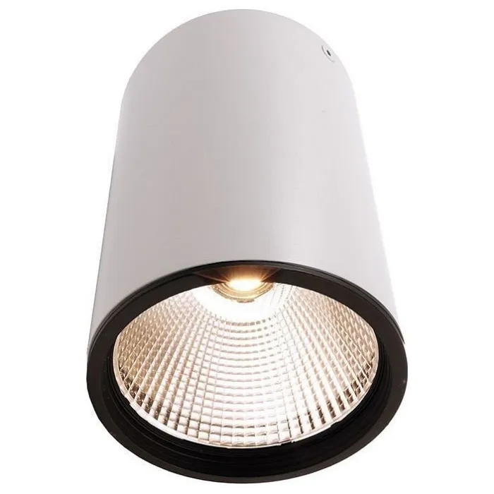 Накладной светильник Deko-Light Luna 348059 Цвет арматуры белый от ImperiumLoft