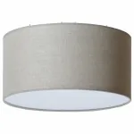 Подвесной светильник TopDecor Crocus Glade Crocus Glade S1 01 97g 