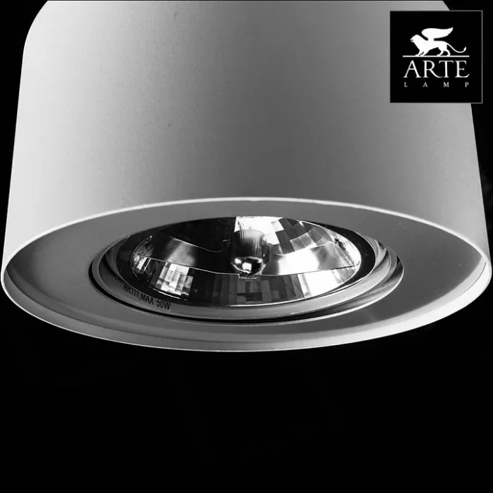 Накладной светильник Arte Lamp Cliff A5643PL-1WH Цвет арматуры белый Цвет плафонов белый от ImperiumLoft