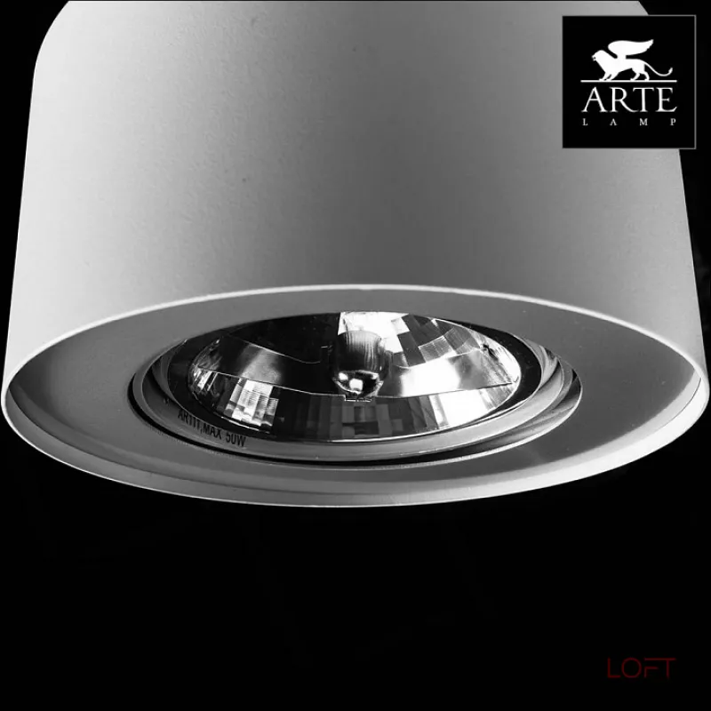 Накладной светильник Arte Lamp Cliff A5643PL-1WH Цвет арматуры белый Цвет плафонов белый