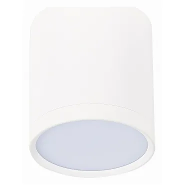 Накладной светильник ST-Luce Rene ST113.542.05 Цвет арматуры белый Цвет плафонов белый