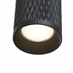 Накладной светильник Maytoni Alfa C036CL-01B Цвет арматуры черный Цвет плафонов черный