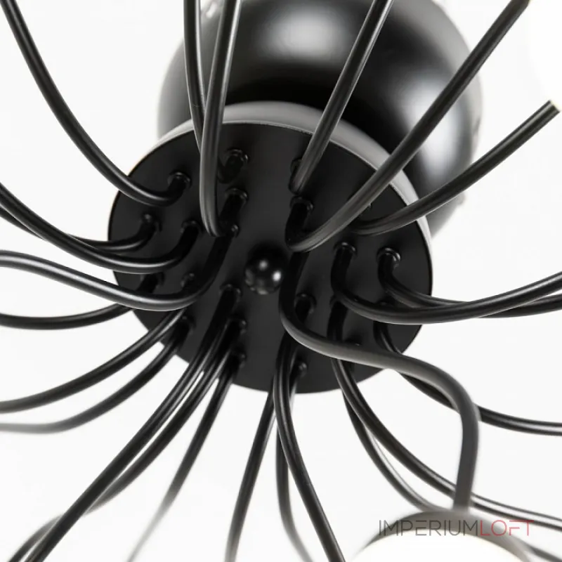 Потолочная люстра Arte Lamp Dexter A3619PL-24BK 