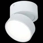 Накладной светильник ST-Luce ST651 ST651.542.14 от ImperiumLoft