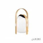 Колонка звуковая iLedex Giggle OVS1100-CH WH от ImperiumLoft