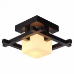 Потолочный светильник Arte Lamp Woods A8252PL-1CK 