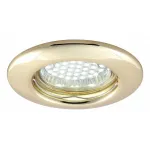 Встраиваемый светильник Arte Lamp Praktisch A1203PL-1GO Цвет арматуры золото Цвет плафонов черный