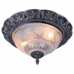 Потолочный светильник Arte Lamp Piatti A8001PL-2SB 