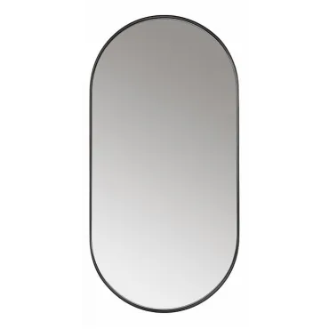 Зеркало настенное (101x51 см) Арена V20165