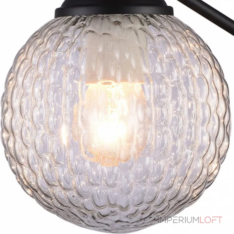 Бра Rivoli Valery A1 BK Б0038085 Цвет арматуры черный Цвет плафонов прозрачный Бра Rivoli Valery A1 BK Б0038085 Цвет арматуры черный Цвет плафонов прозрачный
