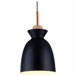 Подвесной светильник Marylou TL1202H-01BK Toplight