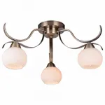 Потолочная люстра TopLight Olivia TL3750X-03AB 