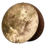 Плафон металлический Nowodvorski Cameleon Wheel G 8424 цвет плафонов золото от ImperiumLoft