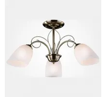 Потолочная люстра 30107/3 Потолочная люстра 30107/3