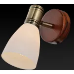 Спот TopLight Sharyl TL3720Y-01BB Цвет арматуры бронза Цвет плафонов белый