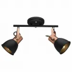 Спот Arte Lamp 1677 A1677PL-2BK Цвет арматуры бронза Цвет плафонов черный