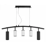 Подвесной светильник Lightstar Rullo LR735872363