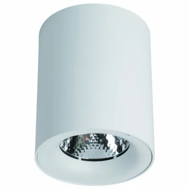 Накладной светильник Arte Lamp Facile A5118PL-1WH Цвет арматуры белый Цвет плафонов белый