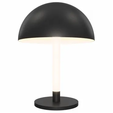 Настольная лампа декоративная Maytoni Ray Z012TL-L8B3K от ImperiumLoft