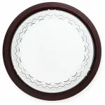 Потолочный светильник TopLight Citte TL9134Y-02OA 