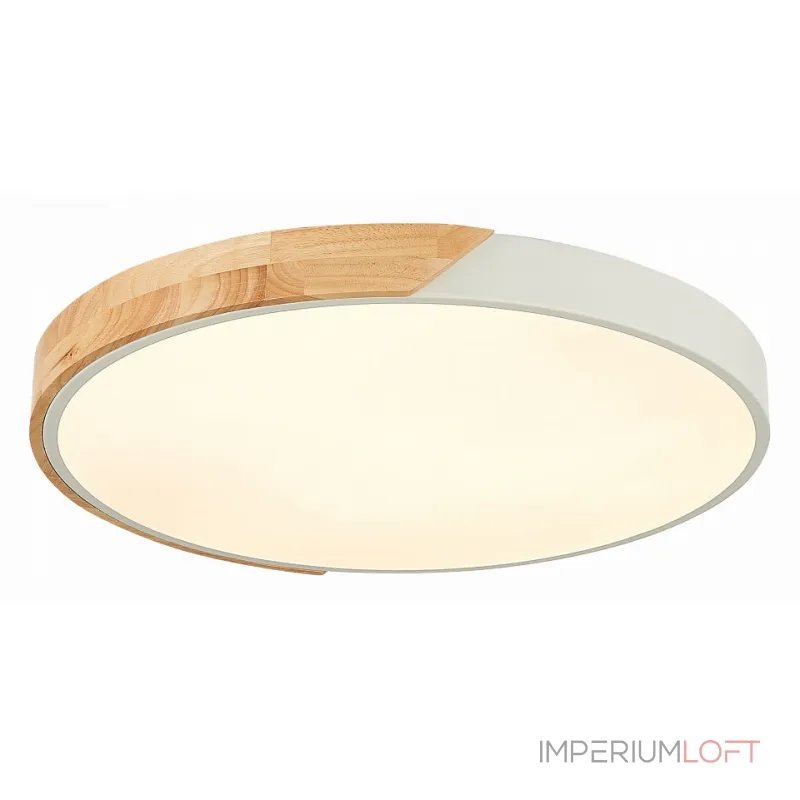 Потолочный светильник EVOLUCE Festa SLE200952-01 