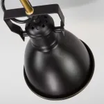 Потолочная люстра Eurosvet Denley 70112/5 черный Цвет арматуры черный Цвет плафонов золото от ImperiumLoft