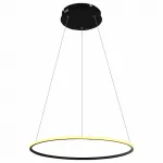 Подвесной светильник Arte Lamp 2500 A2500SP-1BK 