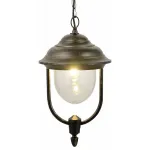 Подвесной светильник Arte Lamp Barcelona A1485SO-1BN Цвет арматуры золото Цвет плафонов прозрачный