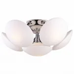 Потолочная люстра Arte Lamp Soffione A2550PL-6CC 