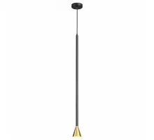 Подвесной светильник Odeon Light Pipa 3884/1GB Цвет плафонов золото Цвет арматуры черный