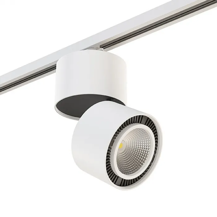 Светильник на штанге Lightstar Forte Muro A1T213816 Цвет плафонов белый Цвет арматуры белый от ImperiumLoft
