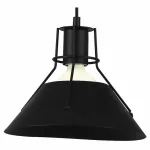 Подвесной светильник Arte Lamp 9347 A9347SP-1BK 
