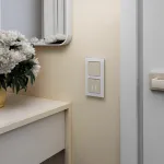 Выключатель двухклавишный с подсветкой без рамки Werkel шампань W4520011 от ImperiumLoft